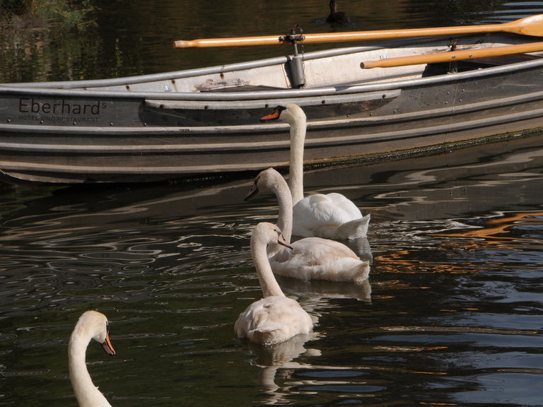 Ausflugsziele in der Nähe