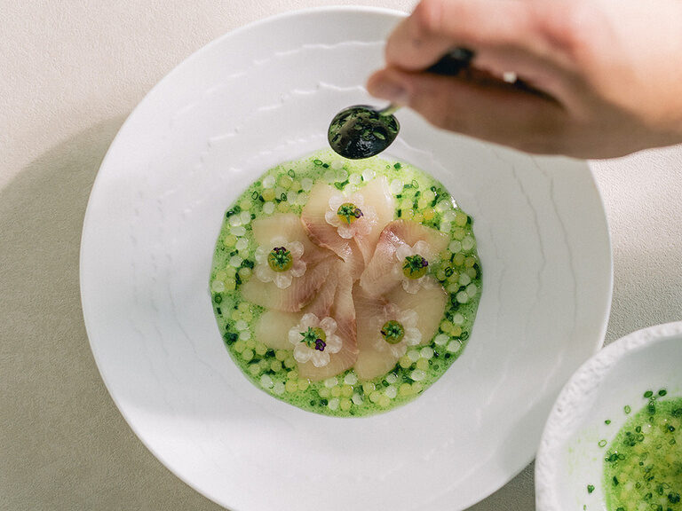 Fein angerichtetes Fischgericht mit grüner Kräutersauce und frischen Kräutern.